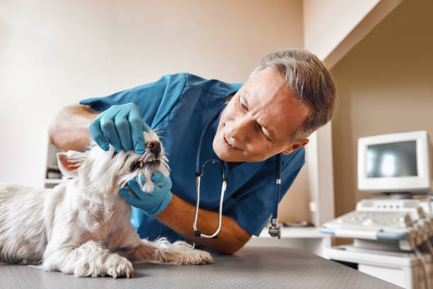 Best Emergency Treatment for Oral Infections in Fort Denaud, FL