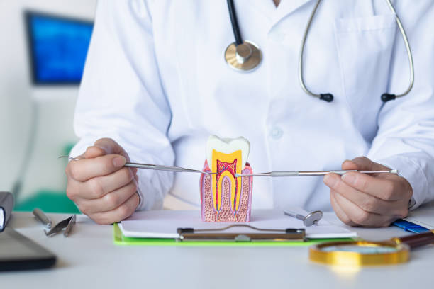 Best Broken or Chipped Tooth Repair in Fort Denaud, FL